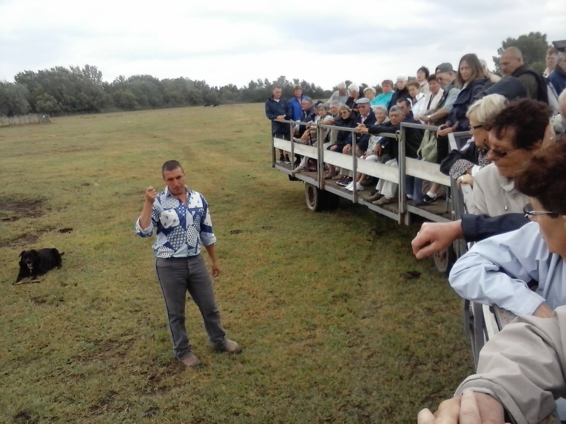 Excursion to the Camargue manade
