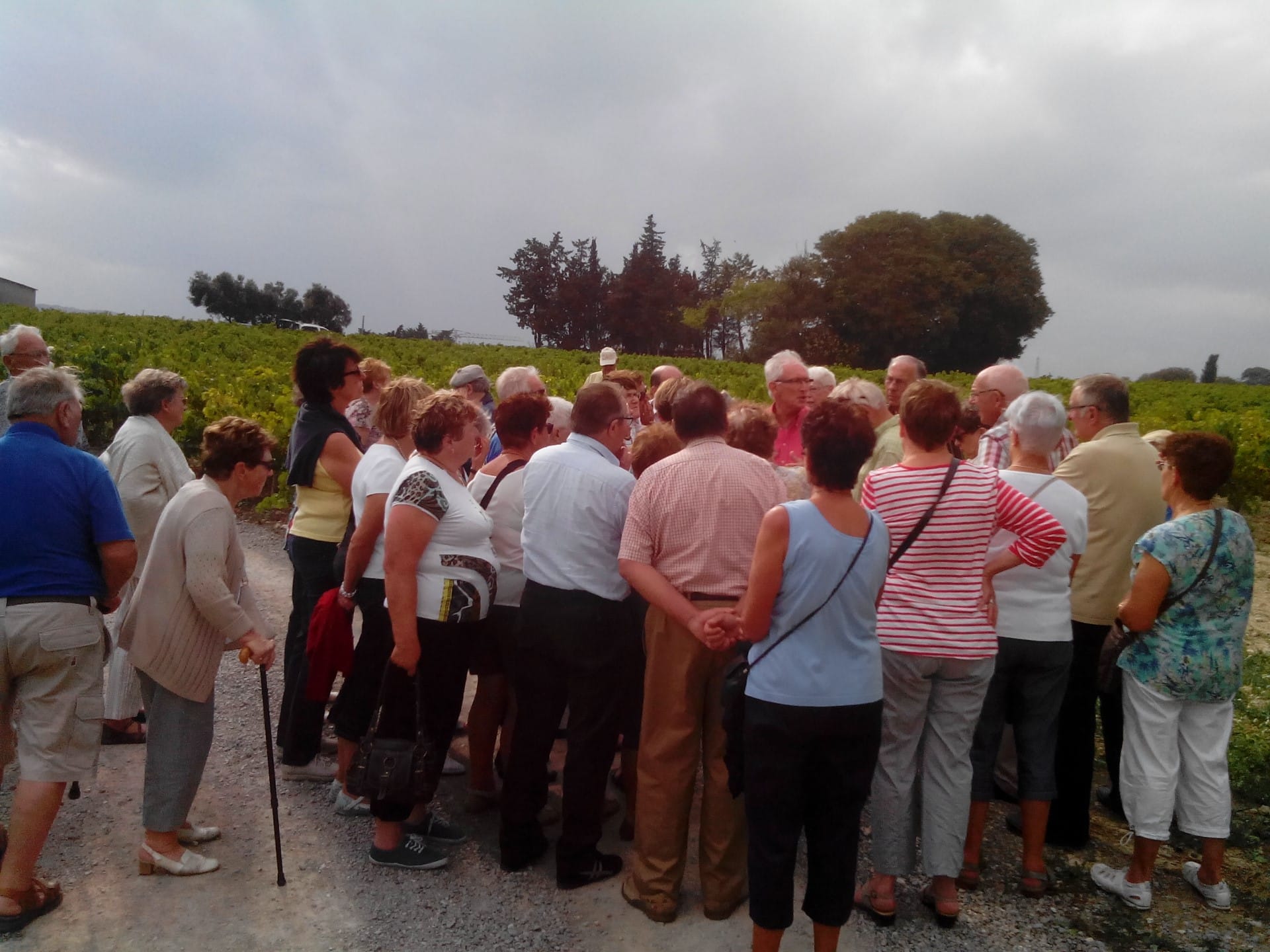 Visite Groupe Seniors