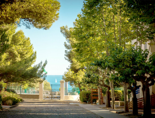 Vacances en dernière minute : nos conseils pour un séjour réussi cet été à Sète !