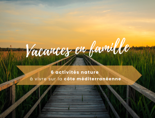 Sommerurlaub mit der Familie: 6 Naturaktivitäten, die Sie an der Mittelmeerküste unternehmen können ️