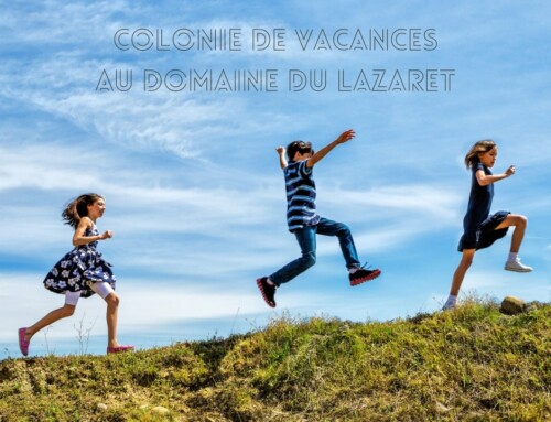 Organisez votre colonie de vacances à Sète au Domaine du Lazaret***