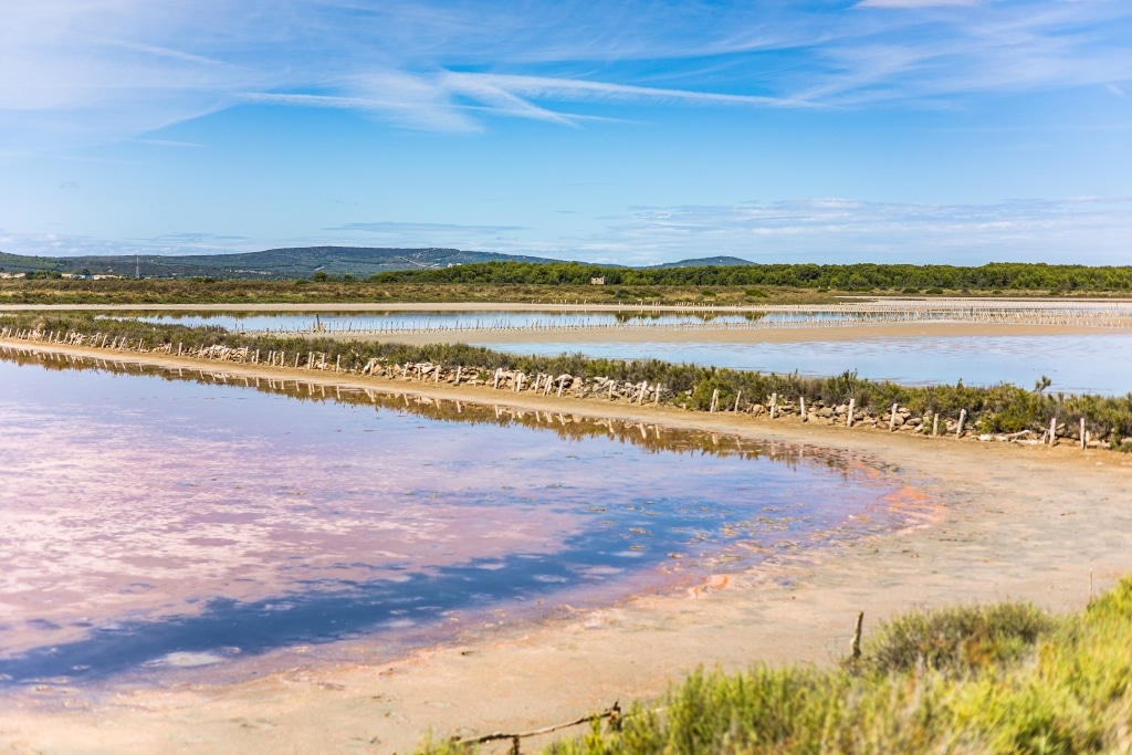 frontignan-salins