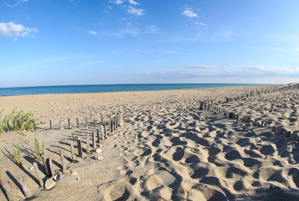 Plage de la Baleine à Sète Plage de la Fontaine à Sète, grande plage familiale avec promenade