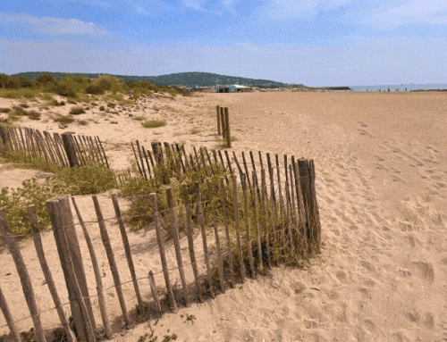 Prolongez l’été en septembre à Sète